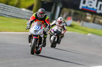 Oulton-Park-21st-March-2020;PJ-Motorsport-Photography-2020;anglesey;brands-hatch;cadwell-park;croft;donington-park;enduro-digital-images;event-digital-images;eventdigitalimages;mallory;no-limits;oulton-park;peter-wileman-photography;racing-digital-images;silverstone;snetterton;trackday-digital-images;trackday-photos;vmcc-banbury-run;welsh-2-day-enduro